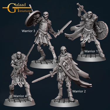 Skeleton Warrior Bundle